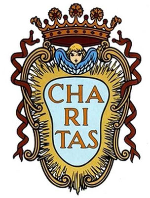 escudo minimos