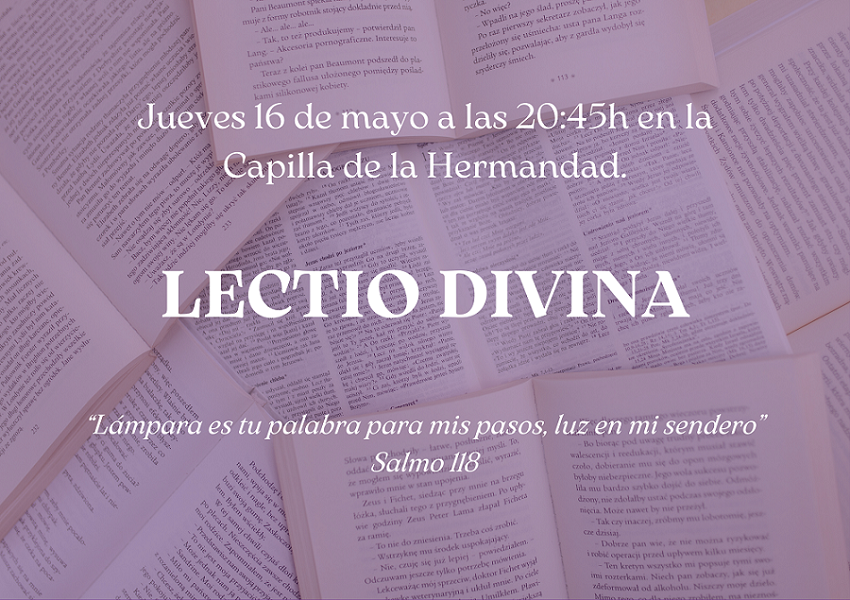 lectio mayo 2024