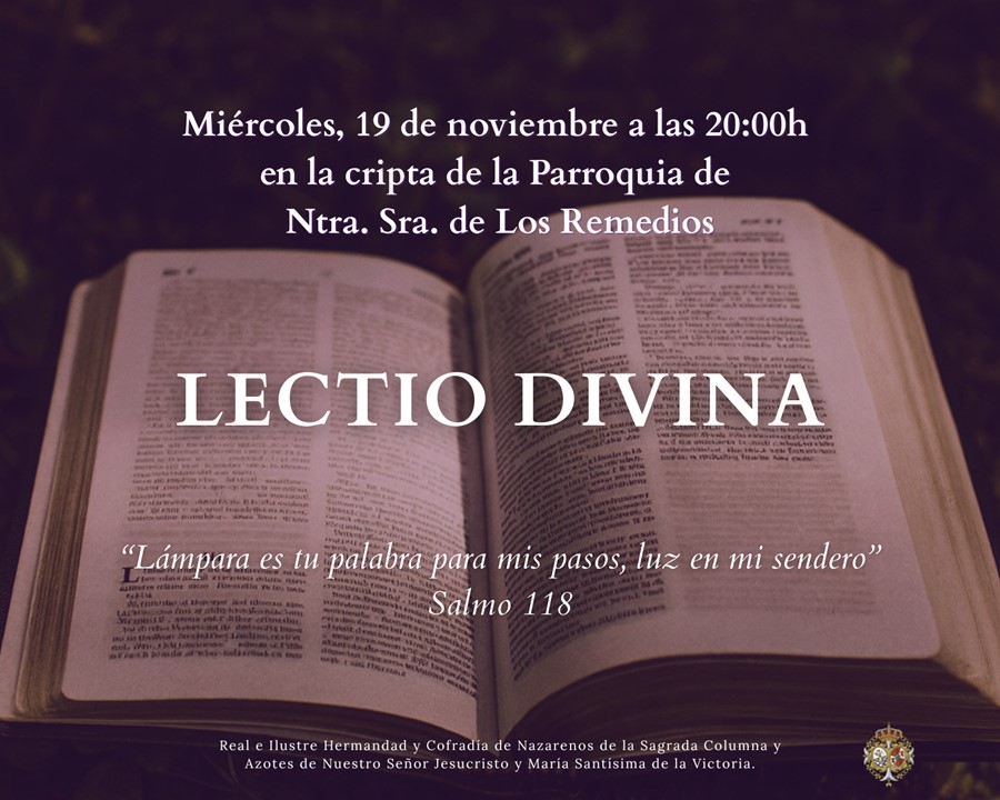 lectio divina noviembre 2025