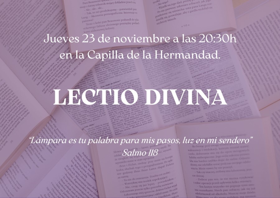 lectio nov 2023